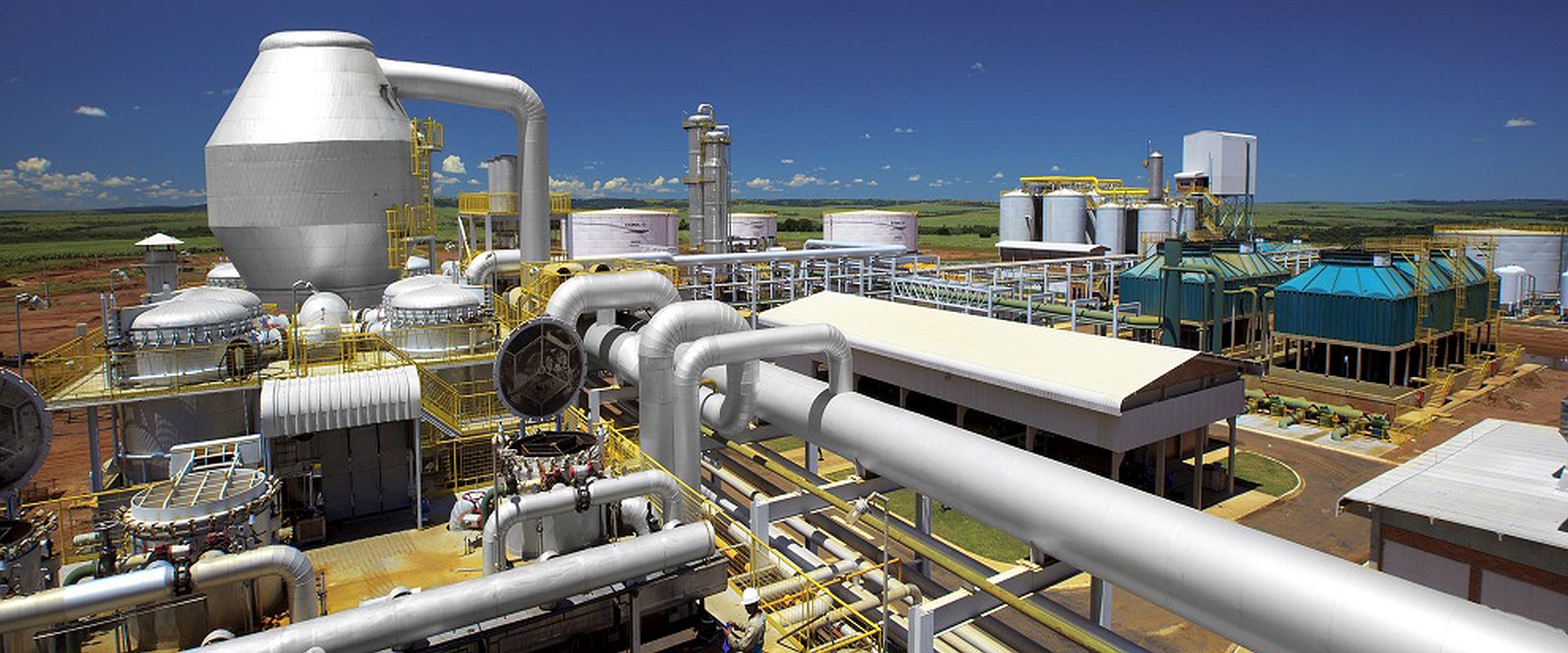 Brazil Sugar Suppliers